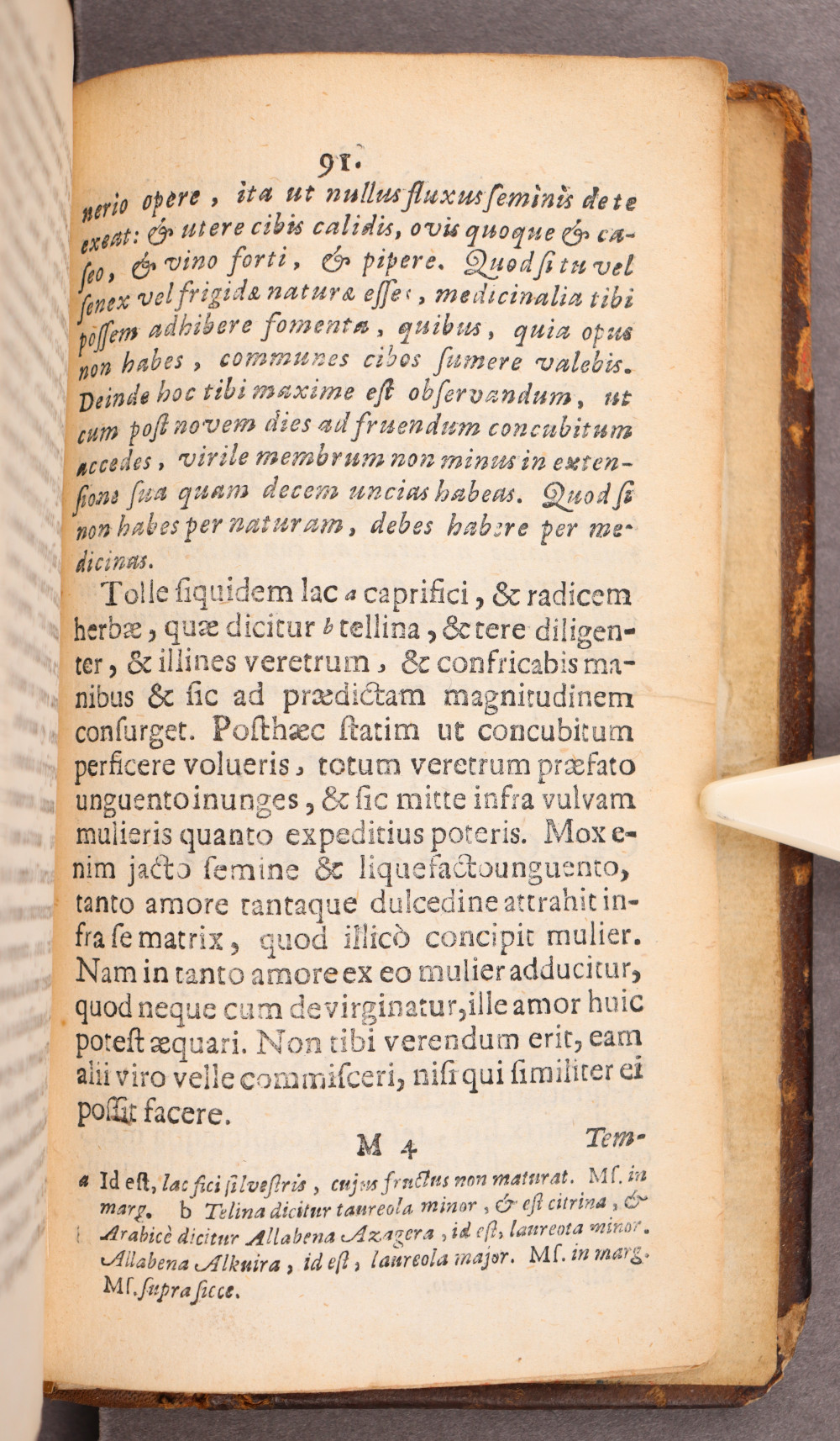 Page 91